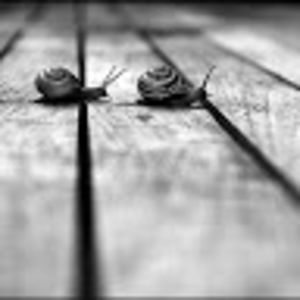 Meet your Posher, Katrina